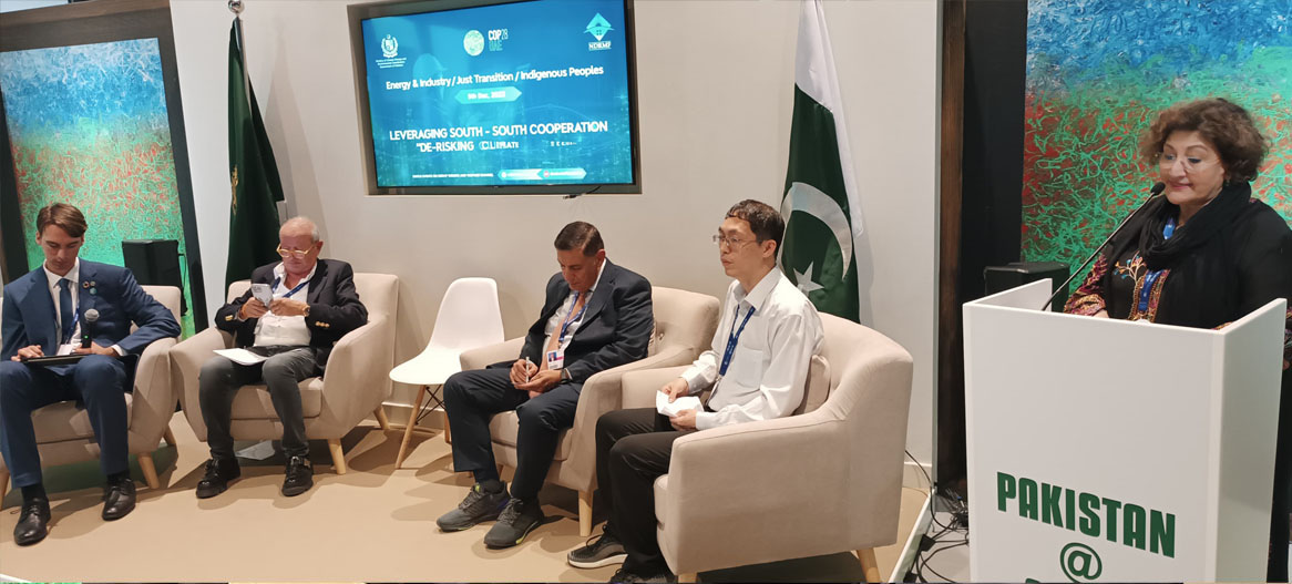COMSATS@COP28 discusses Leveraging South-South Cooperation, De-Risking Climate Security