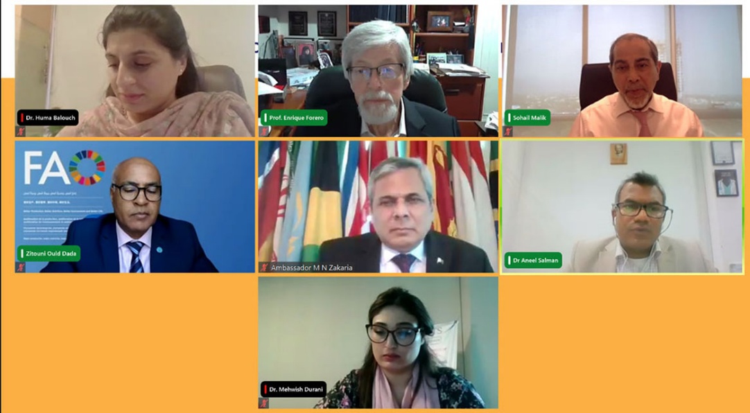 Webinar on Advancing Climate Diplomacy in the Global South: The Road to COP28