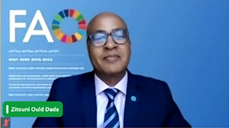 Webinar on Advancing Climate Diplomacy in the Global South: The Road to COP28