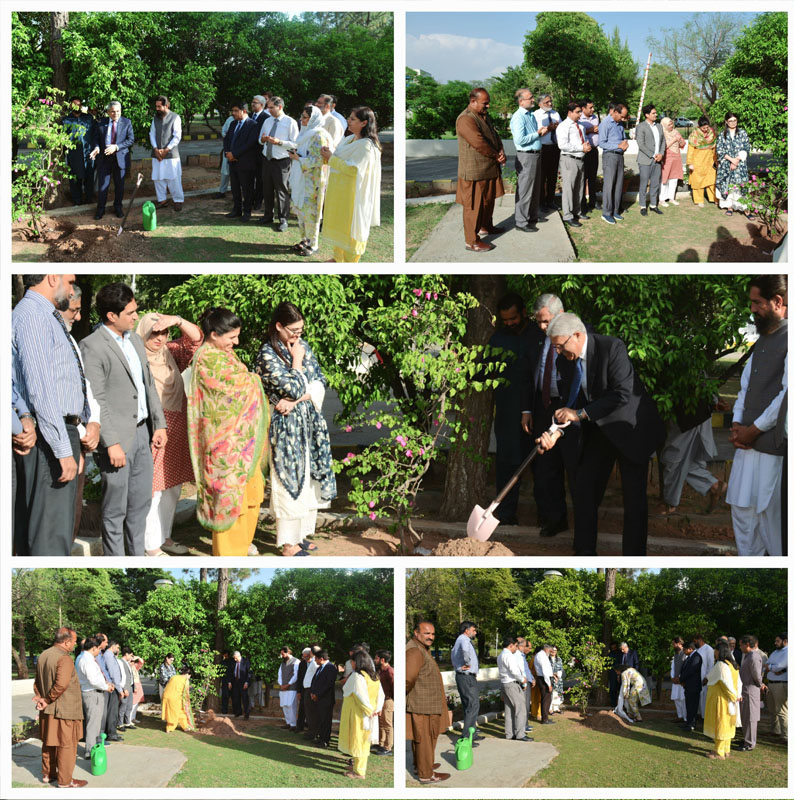 COMSATS Commemorates Earth Day 2025