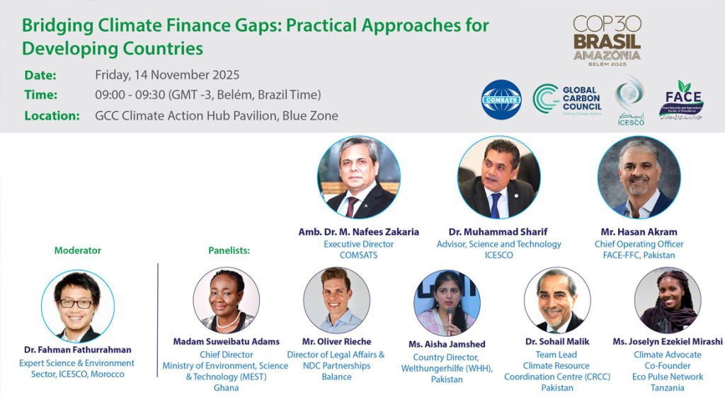 "Bridging Climate Finance Gaps: Practical Approaches for Developing Countries"