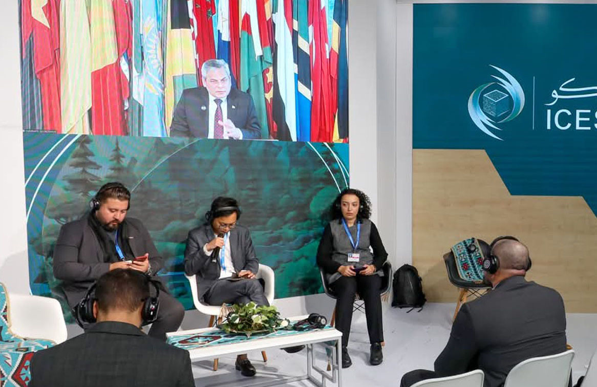 Decarbonizing Road Transport: Innovations and Policies for Electric and Hydrogen Vehicle Technologies